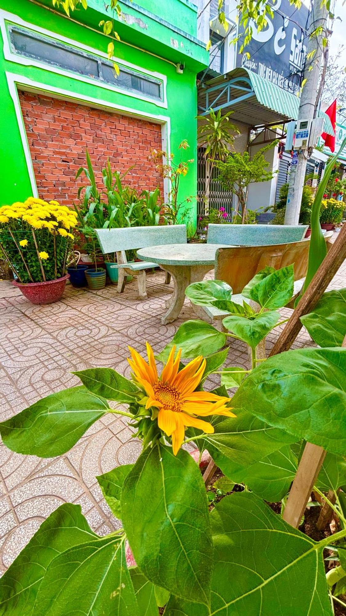 Thuy Hang Motel Long Hai Bagian luar foto